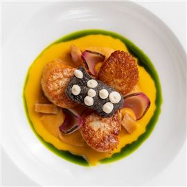 seared-scallops